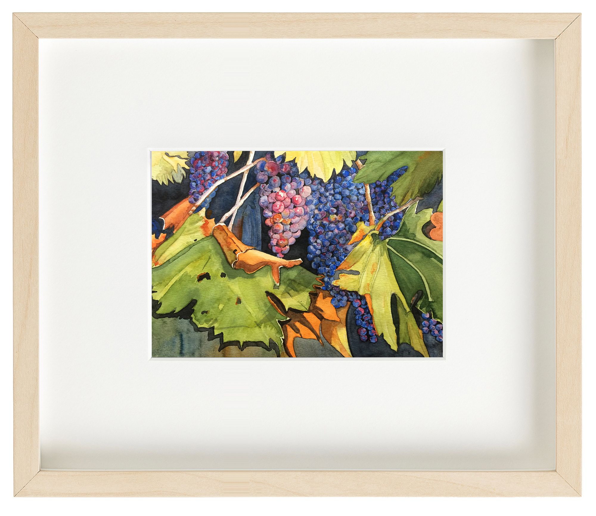 pintura en acuarelas de frutas